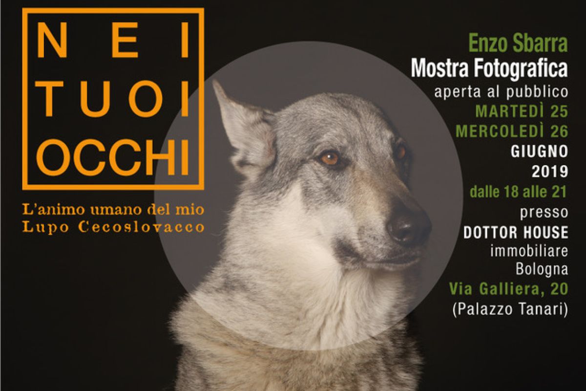 Vernissage Dottor House – Giugno 2019