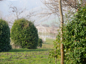 Slider Nav Image